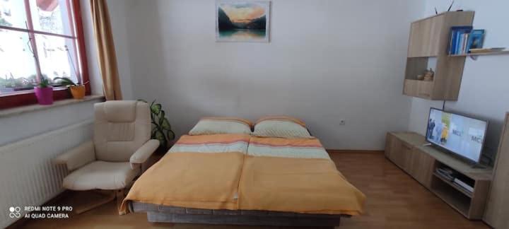 Apartmaji Bostjan Pristavec 克拉尼斯卡戈拉 外观 照片
