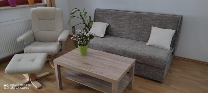 Apartmaji Bostjan Pristavec 克拉尼斯卡戈拉 外观 照片